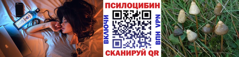 блэк спрут ссылки Цивильск Галлюциногенные грибы MAGIC MUSHROOMS
